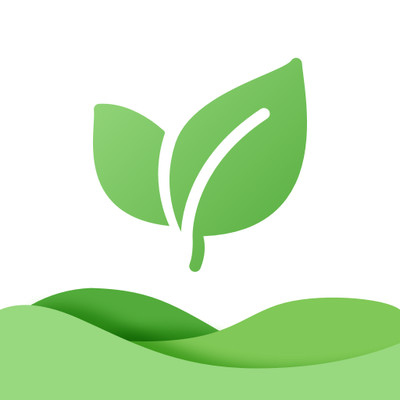 体检报告健康分析助手